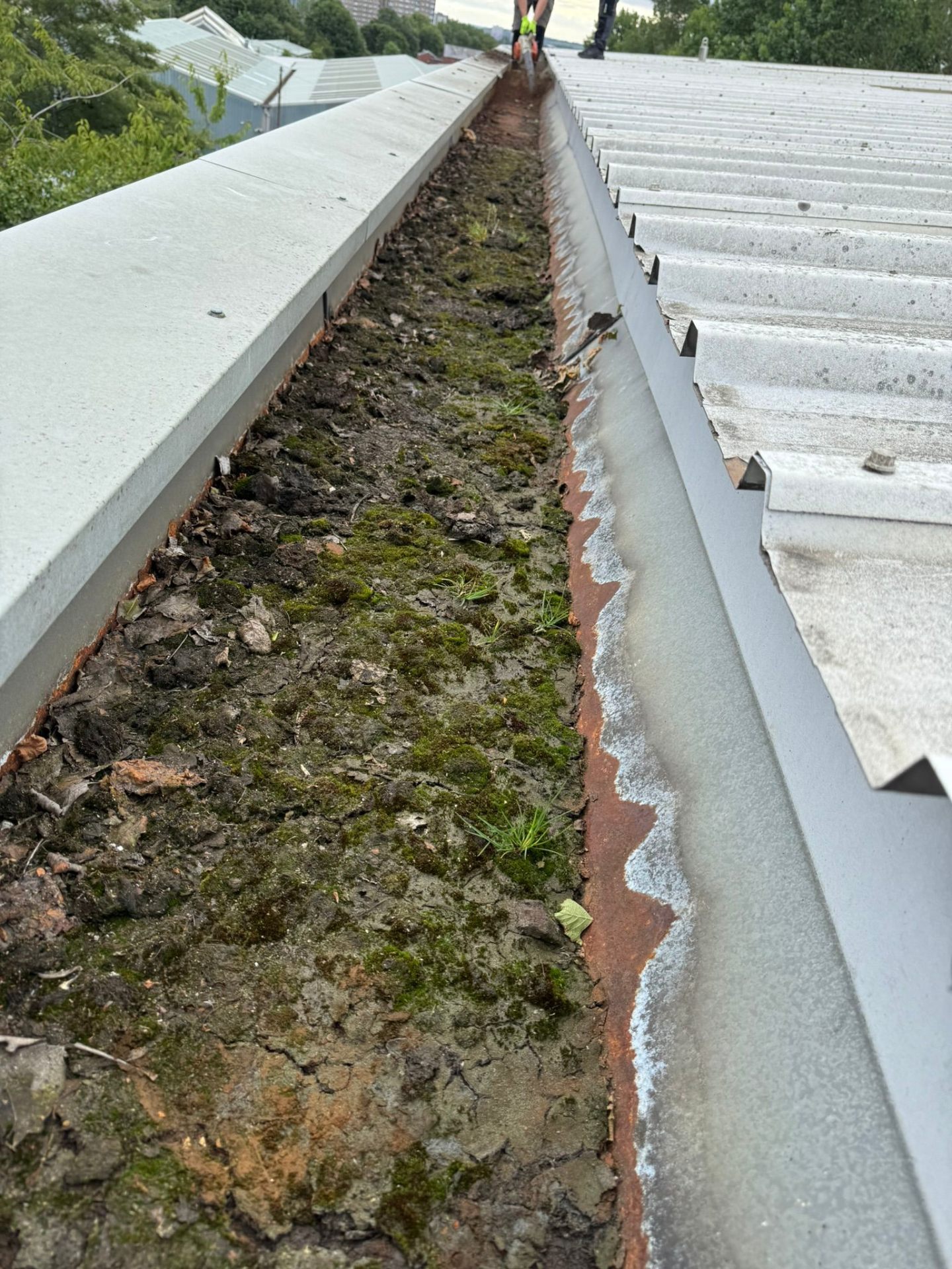 Blocked gutter filled with moss and debris before cleaning